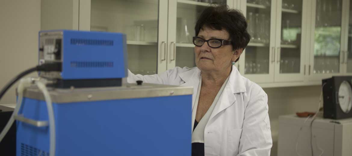 portfolio slider option